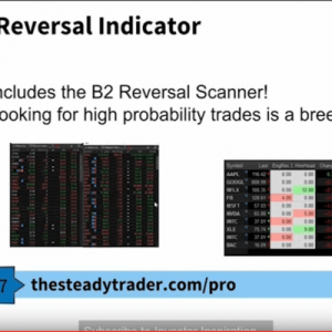 B2 Candlestick Reversal Indicator + Ultimate Candlestick Bootcamp