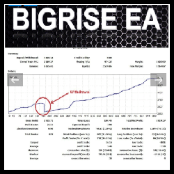 BIGRISE EA