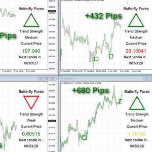 Butterfly Forex