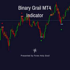 FHG BINARY GRAIL MT4 INDICATOR