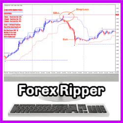 Forex Ripper Trading System