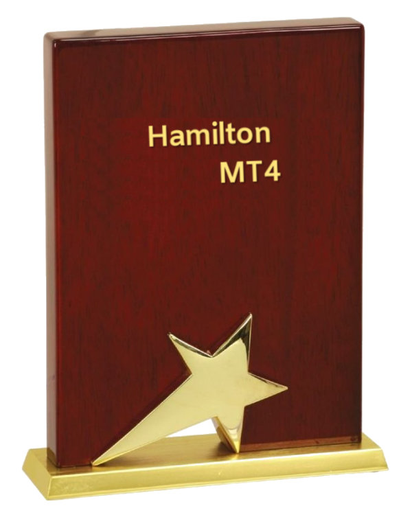 HAMILTON EA FOR MT4 BUILD 1100