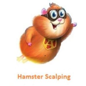 Hamster Scalping EA from MQL5 Market