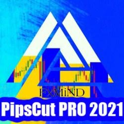 PipsCut PRO 2021