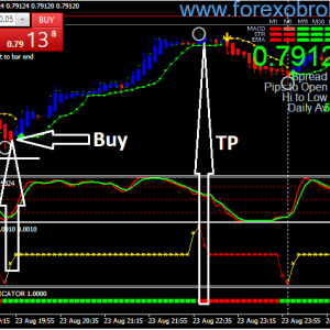 Scalping Action Forex Indicator