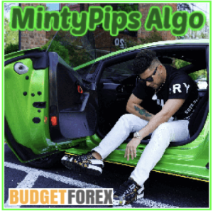 MintyPips Algo