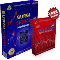 Burgi Signal + BONUS