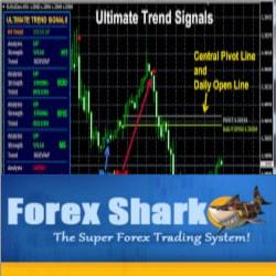 Forex Shark