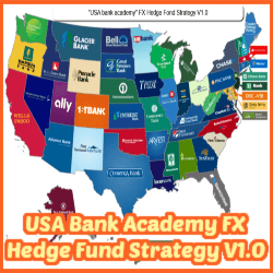 USA Bank Academy FX Hedge Fund Strategy