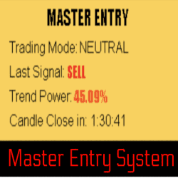 Master Entry System (BRAND NEW!)