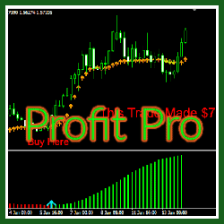 Profit Pro