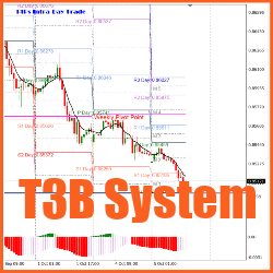 T3B System (with Source Code)