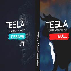 TESLA EA BULL v2.0 + BESAFE LITE v3.1