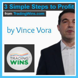 3 Simple Steps to Profit by Vince Vora